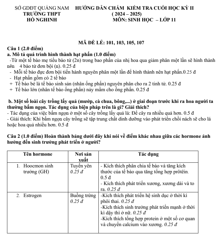 Đề thi Học kì 2 Sinh học 11 năm 2024-2025 trường THPT Hồ Nghinh (Quảng Nam)