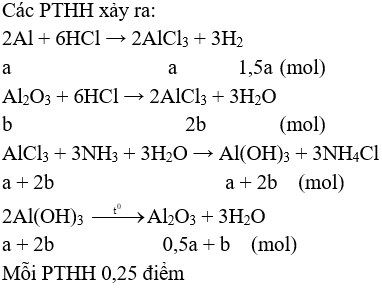 Đề thi Giữa kì 2 Hóa học 12 có đáp án (Trắc nghiệm - Tự luận - Đề 2)