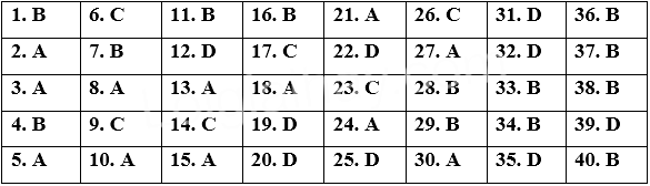 Đề thi Cuối kì 2 Tiếng Anh 12 Bright năm 2026 (có đáp án)
