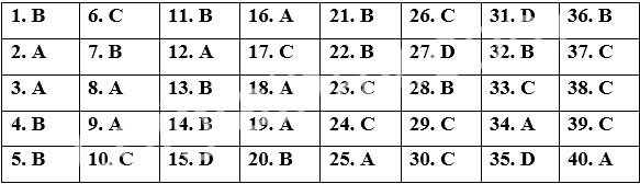Đề thi Cuối kì 2 Tiếng Anh 12 Bright năm 2026 (có đáp án)