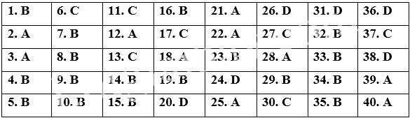 Đề thi Giữa kì 2 Tiếng Anh 12 Bright năm 2026 (có đáp án)