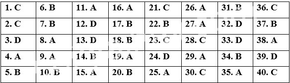 Đề thi Giữa kì 2 Tiếng Anh 12 Bright năm 2026 (có đáp án)