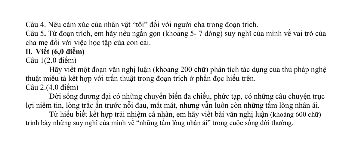 Đề thi Giữa kì 2 Văn 12 năm 2024-2025 trường THPT Lê Hồng Phong (Đắk Lắk)