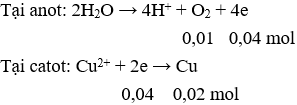 Đề thi Học kì 2 Hóa học 12 có đáp án (Đề 1)