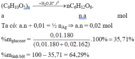 KSCL Đề 2