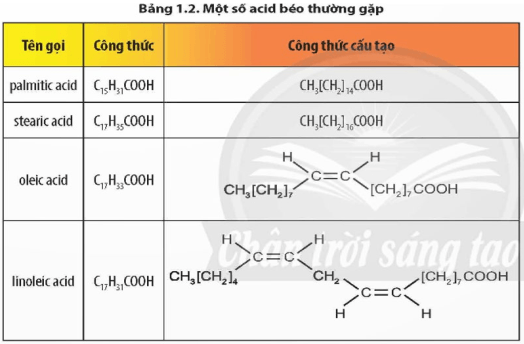 Đề thi Giữa kì 1 Hóa học 12 năm 2025-2026 trường THPT Số 1 Lê Hồng Phong (Đắk Lắk)