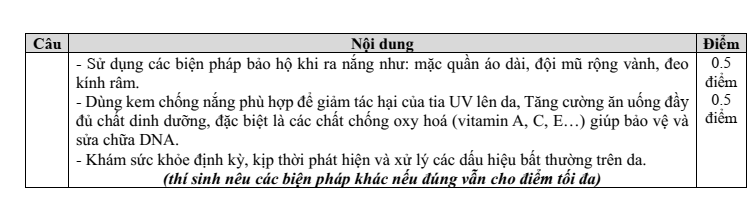 Đề thi Giữa kì 1 Sinh học 12 năm 2025-2026 trường THPT Lý Tự Trọng (Đà Nẵng)