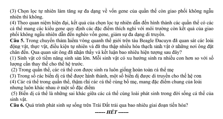 Đề thi Giữa kì 2 Sinh học 12 năm 2024-2025 trường THPT Gio Linh (Quảng Trị)