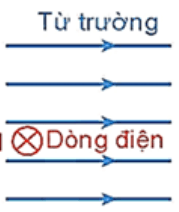 Đề thi Giữa kì 2 Vật lí 12 năm 2025-2026 trường THPT Duy Tân (Quảng Ngãi)