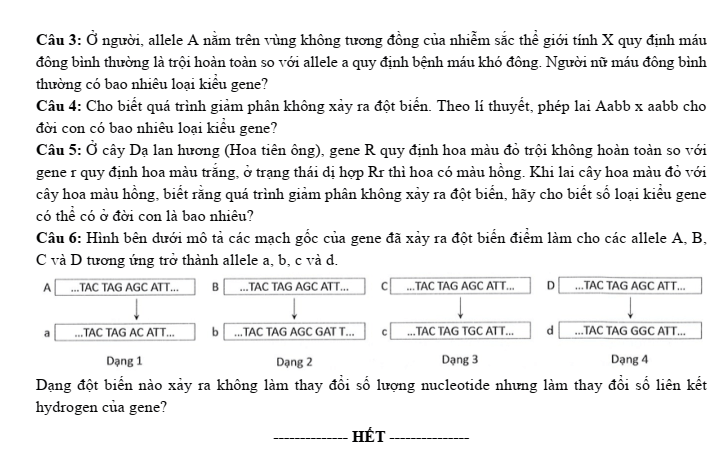 Đề thi Học kì 1 Sinh học 12 năm 2024-2025 Sở Bắc Ninh