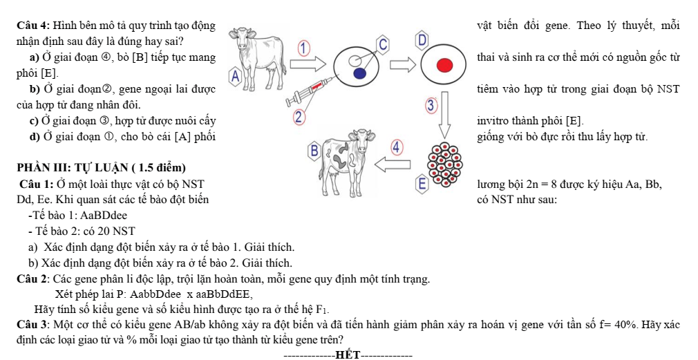 Đề thi Học kì 1 Sinh học 12 năm 2025-2026 trường THPT Bình Chiểu (Tp. HCM)