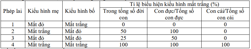Đề thi Học kì 2 Sinh học 12 năm 2024-2025 Sở Nam Định