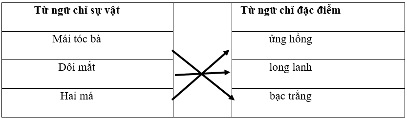 Bài tập cuối tuần Tiếng Việt lớp 2 Tuần 13 Chân trời sáng tạo (có đáp án) | Đề kiểm tra cuối tuần Tiếng Việt lớp 2