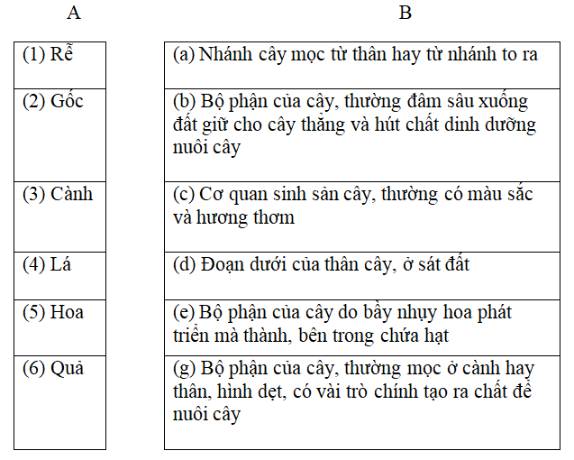 Bài tập cuối tuần Tiếng Việt lớp 2 Tuần 29 Kết nối tri thức (có đáp án) | Đề kiểm tra cuối tuần Tiếng Việt lớp 2
