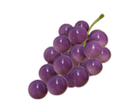 Đề cương ôn tập Học kì 2 Tiếng Anh lớp 2 Global Success (có lời giải)