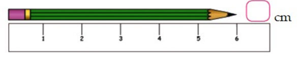 Top 30 Đề thi Giữa kì 1 Toán lớp 2 năm 2024 (có đáp án)