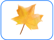 Đề thi khảo sát chất lượng đầu năm Tiếng Anh lớp 2 (3 đề)