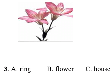 Đề thi môn Tiếng Anh lớp 2 Học kì 2 có đáp án (Đề 1)