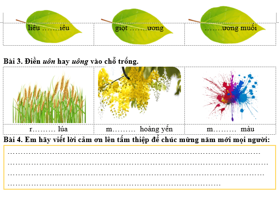 Bài tập hàng ngày Tiếng Việt lớp 3 Bài 21: Tia nắng bé nhỏ | Kết nối tri thức