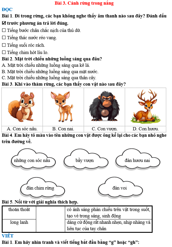 Bài tập hàng ngày Tiếng Việt lớp 3 Bài 3: Cánh rừng trong nắng | Kết nối tri thức