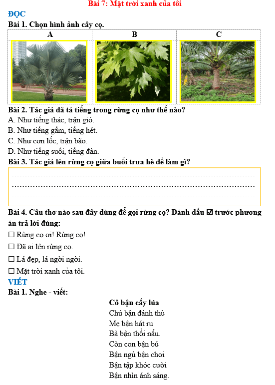 Bài tập hàng ngày Tiếng Việt lớp 3 Bài 7: Mặt trời xanh của tôi | Kết nối tri thức