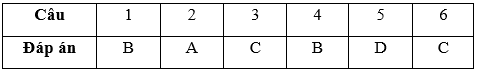 Bài tập cuối tuần Toán lớp 3 Tuần 12 (cả ba sách) | Đề kiểm tra cuối tuần Toán lớp 3