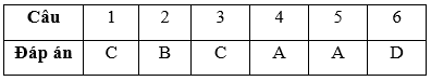 Bài tập cuối tuần Toán lớp 3 Tuần 19 (cả ba sách) | Đề kiểm tra cuối tuần Toán lớp 3