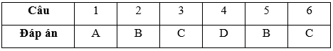 Bài tập cuối tuần Toán lớp 3 Tuần 23 (cả ba sách) | Đề kiểm tra cuối tuần Toán lớp 3