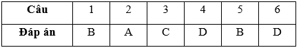 Bài tập cuối tuần Toán lớp 3 Tuần 24 (cả ba sách) | Đề kiểm tra cuối tuần Toán lớp 3