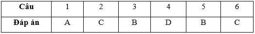 Bài tập cuối tuần Toán lớp 3 Tuần 4 có đáp án (4 đề) | Đề kiểm tra cuối tuần Toán lớp 3 có đáp án