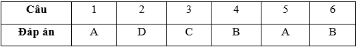 Bài tập cuối tuần Toán lớp 3 Tuần 4 Chân trời sáng tạo, Kết nối tri thức, Cánh diều | Đề kiểm tra cuối tuần Toán lớp 3