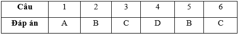 Bài tập cuối tuần Toán lớp 3 Tuần 9 (cả ba sách) | Đề kiểm tra cuối tuần Toán lớp 3