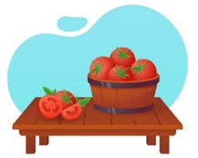 Đề cương ôn tập Học kì 2 Tiếng Anh lớp 3 iLearn Smart Start (có lời giải)