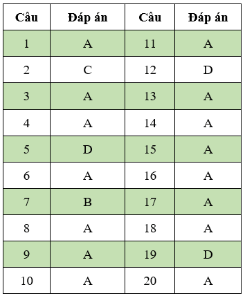 Đề thi Đạo Đức lớp 3 Giữa kì 1 có đáp án (Đề 5) | Đề thi Đạo Đức 3 có đáp án