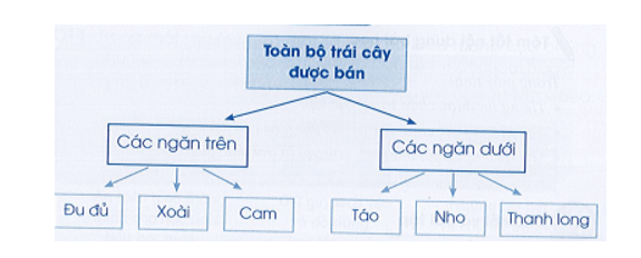 3 Đề thi Học kì 1 Tin học lớp 3 Cánh diều (có đáp án) 