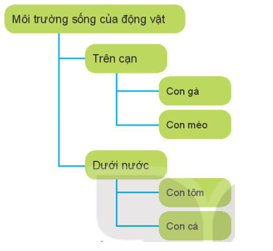 3 Đề thi Học kì 1 Tin học lớp 3 Kết nối tri thức (có đáp án) 