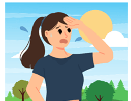 Đề cương ôn tập Giữa kì 2 Tiếng Anh lớp 4 Family and Friends (có lời giải)