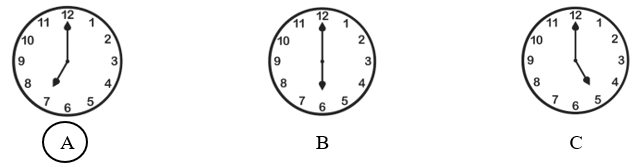 Đề cương ôn tập Giữa kì 2 Tiếng Anh lớp 4 Family and Friends (có lời giải)