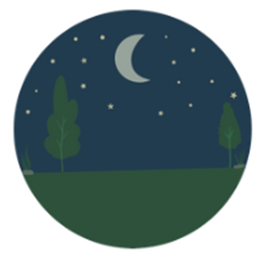 Đề cương ôn tập Giữa kì 2 Tiếng Anh lớp 4 Global Success (có lời giải)