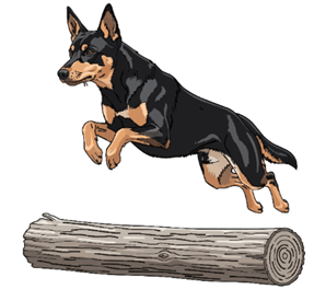 Đề cương ôn tập Học kì 1 Tiếng Anh lớp 4 Smart Start (có lời giải)