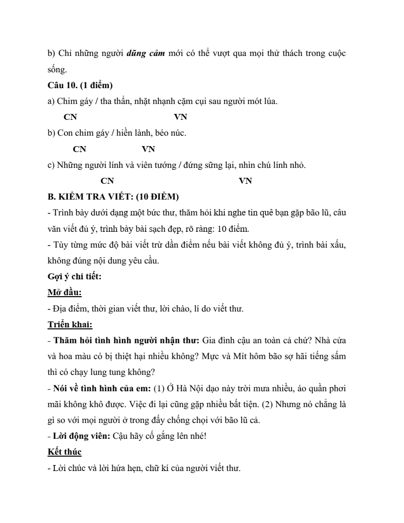 20 Đề thi Giữa kì 2 Tiếng Việt lớp 4 Cánh diều (có đáp án, cấu trúc mới)