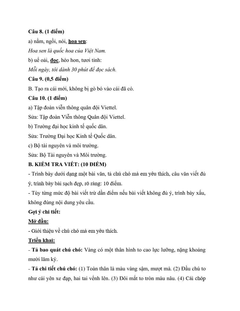 20 Đề thi Học kì 2 Tiếng Việt lớp 4 Cánh diều (có đáp án, cấu trúc mới)