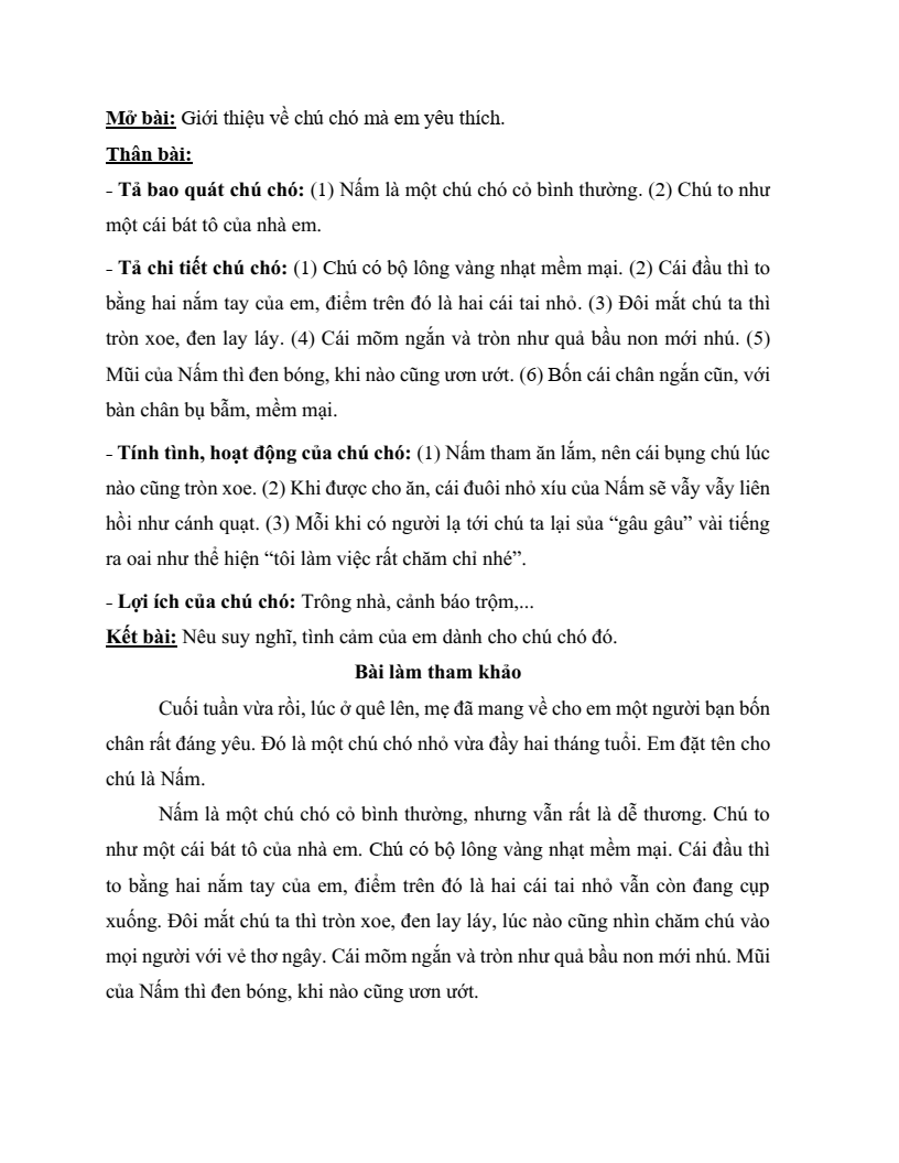 20 Đề thi Học kì 2 Tiếng Việt lớp 4 Chân trời sáng tạo (có đáp án, cấu trúc mới)