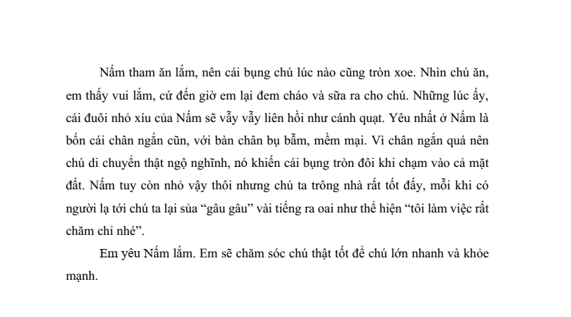 20 Đề thi Học kì 2 Tiếng Việt lớp 4 Chân trời sáng tạo (có đáp án, cấu trúc mới)