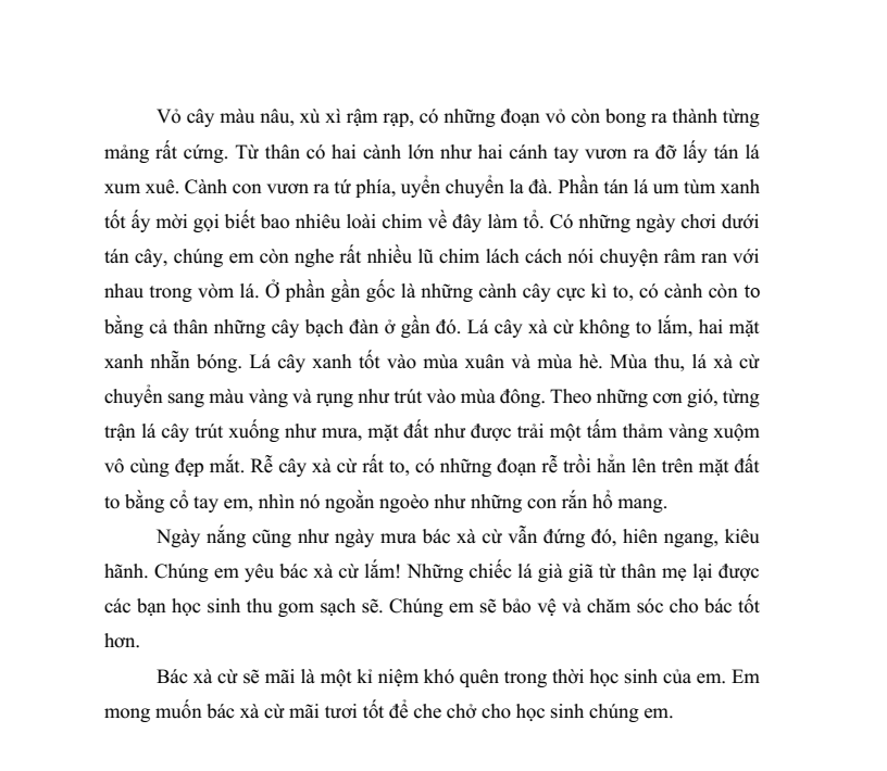 30 Đề thi Học kì 2 Tiếng Việt lớp 4 Kết nối tri thức (có đáp án, cấu trúc mới)