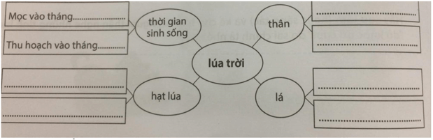 Bài tập cuối tuần Tiếng Việt lớp 5 Tuần 14 có đáp án (4 phiếu) | Đề kiểm tra cuối tuần Tiếng Việt 5