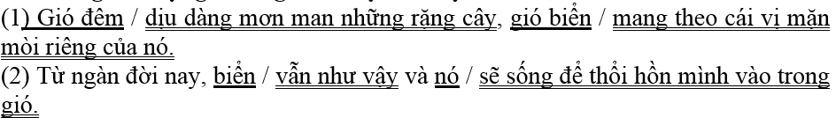 Bài tập cuối tuần Tiếng Việt lớp 5 Tuần 19 có đáp án (4 phiếu) | Đề kiểm tra cuối tuần Tiếng Việt 5