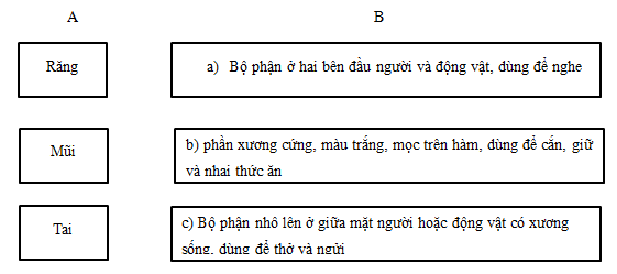 Bài tập cuối tuần Tiếng Việt lớp 5 Tuần 7 có đáp án (4 phiếu) | Đề kiểm tra cuối tuần Tiếng Việt 5