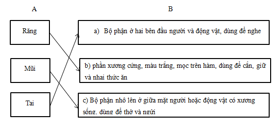 Bài tập cuối tuần Tiếng Việt lớp 5 Tuần 7 có đáp án (4 phiếu) | Đề kiểm tra cuối tuần Tiếng Việt 5