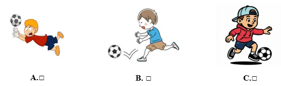 Đề cương ôn tập Giữa kì 2 Tiếng Anh lớp 5 Family and Friends (có lời giải)